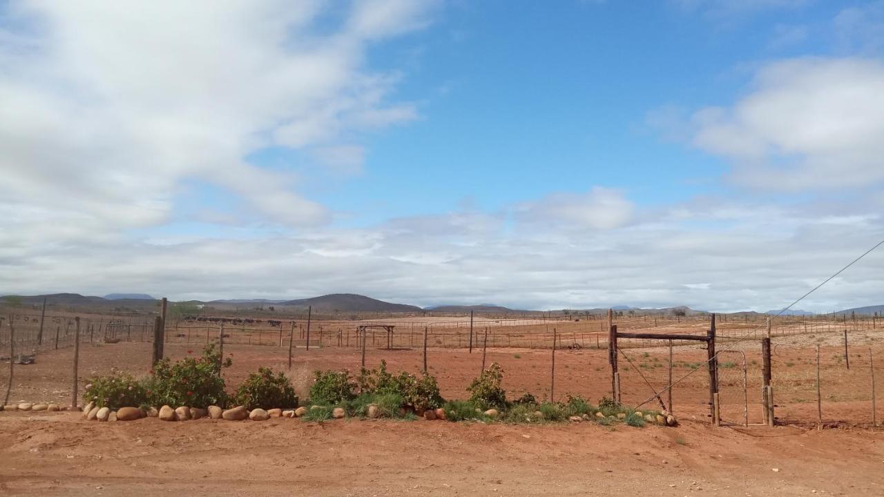 Pureplaas Self Catering Volmoed Oudtshoorn Klein Karoo Διαμέρισμα Εξωτερικό φωτογραφία