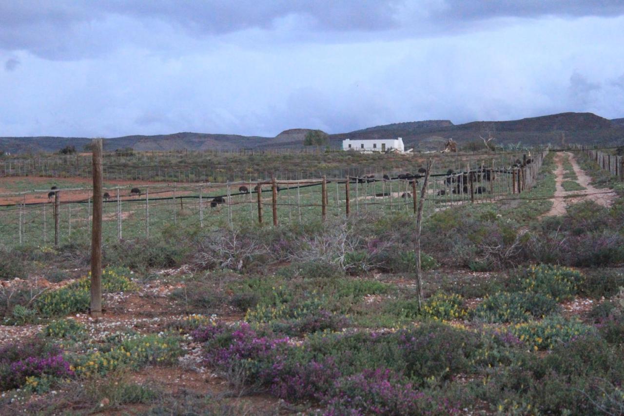 Pureplaas Self Catering Volmoed Oudtshoorn Klein Karoo Διαμέρισμα Εξωτερικό φωτογραφία