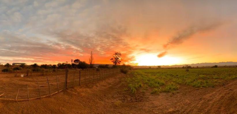 Pureplaas Self Catering Volmoed Oudtshoorn Klein Karoo Διαμέρισμα Εξωτερικό φωτογραφία