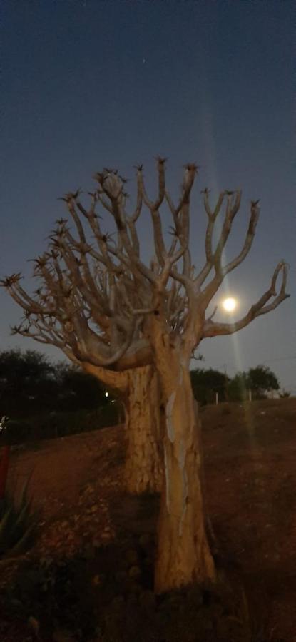 Pureplaas Self Catering Volmoed Oudtshoorn Klein Karoo Διαμέρισμα Εξωτερικό φωτογραφία