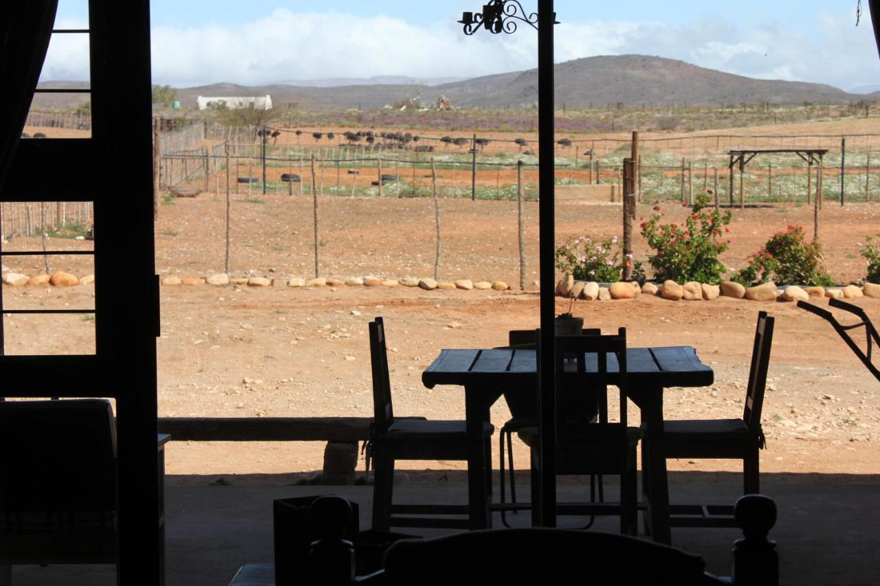 Pureplaas Self Catering Volmoed Oudtshoorn Klein Karoo Διαμέρισμα Εξωτερικό φωτογραφία